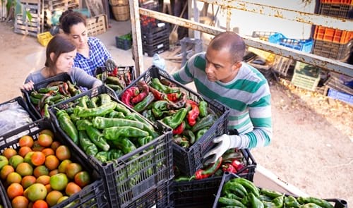 Imatge del contingut Supermercats cooperatius