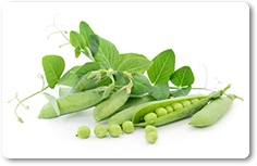 iStock © Tsekhmister