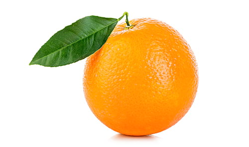 iStock / Bestfotostudio 