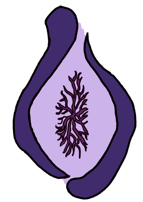 Centre d'Interès Espai de dones