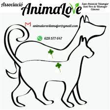Animalore