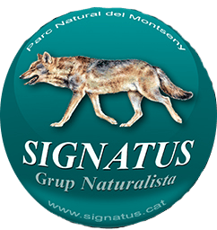Centre Signatus