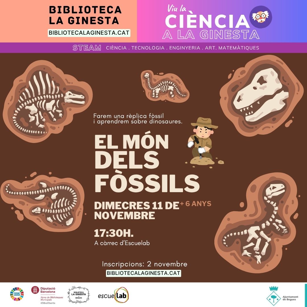 Taller infantil El món dels fòssils
