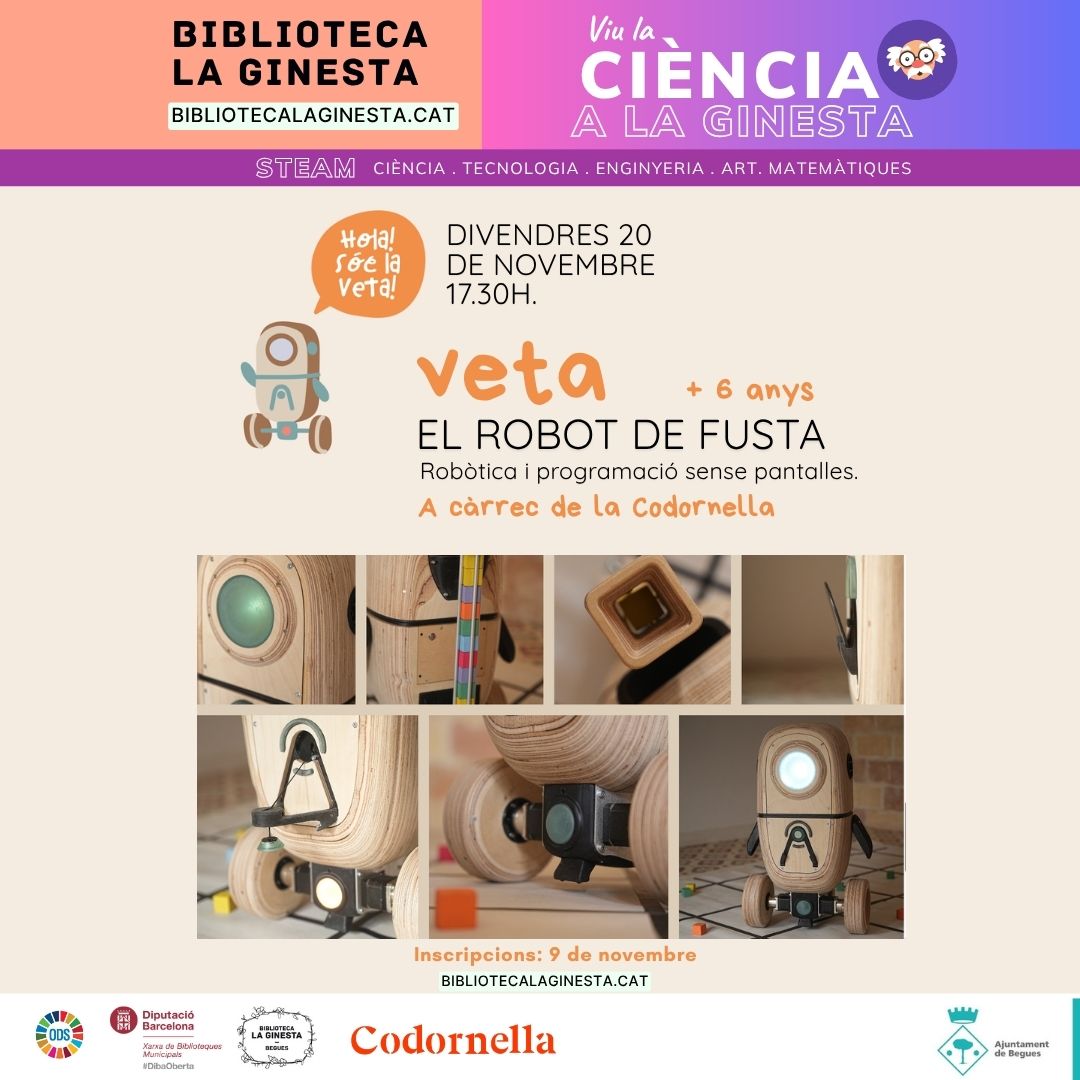 Taller infantil Veta, el robor de fusta
