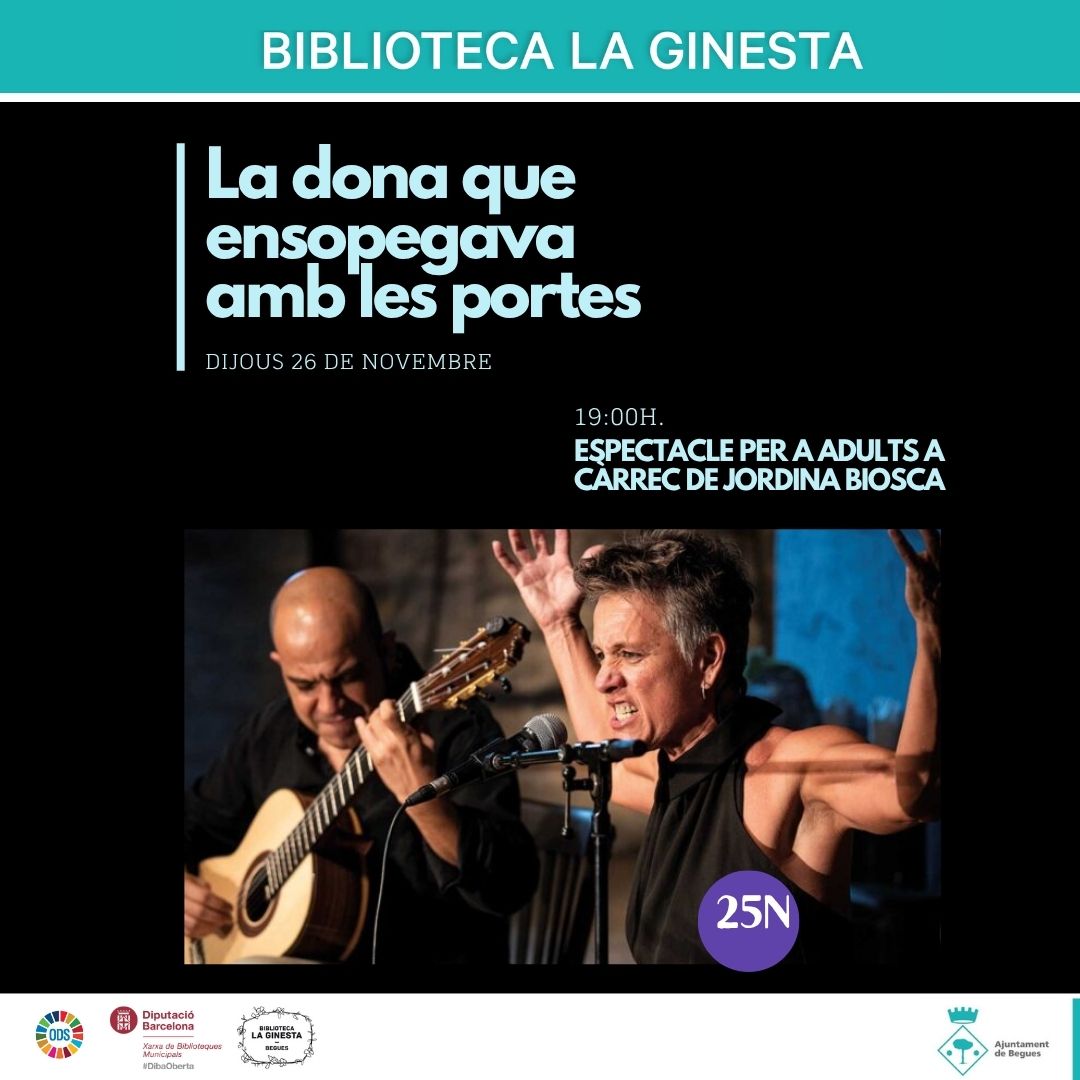 Espectacle La dona que ensopegava amb les portes
