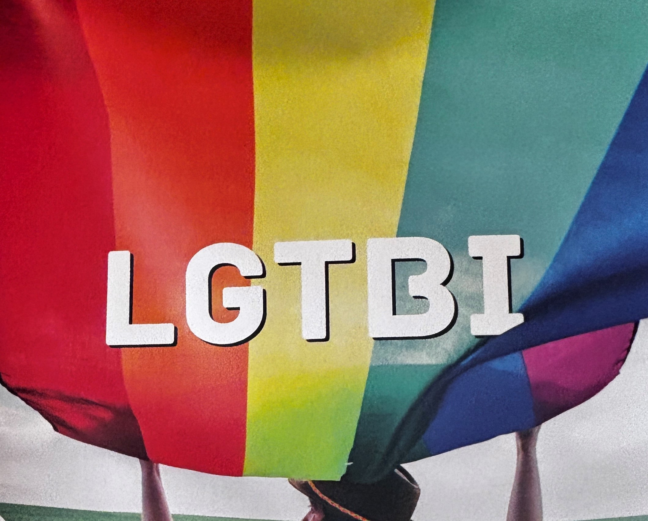 Feminisme i LGTBI