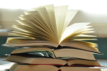 Club de lectura de novel·la