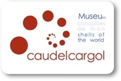 Cau del Cargol. Conquilles del món