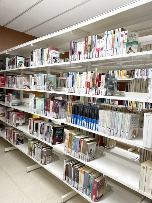 Novel·la Romàntica