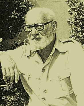 Fons especial Lluís Ferran de Pol