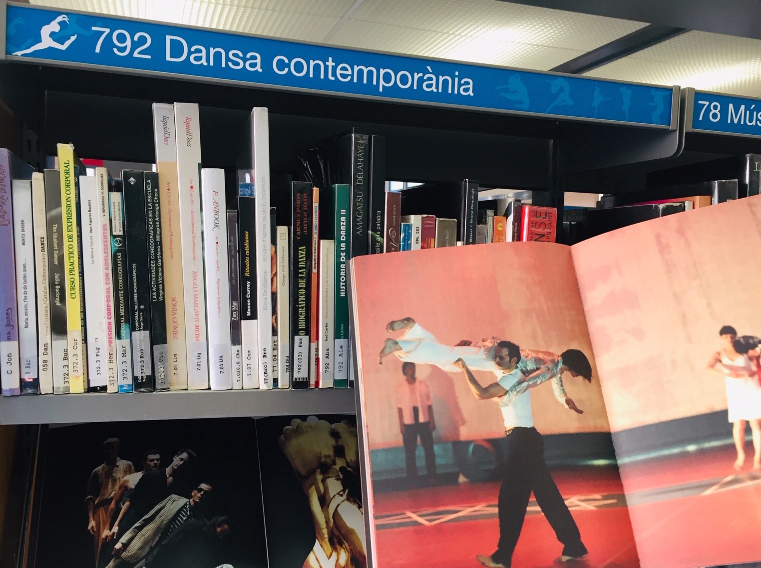 Dansa Contemporània