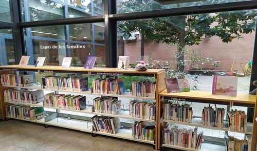 Fons Especial Espai de les famíles