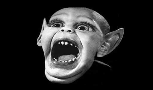 Gabinete de curiosidades