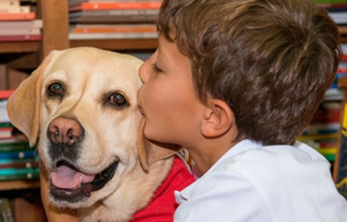 Club de lectura amb gossos: Guau, quin conte!!