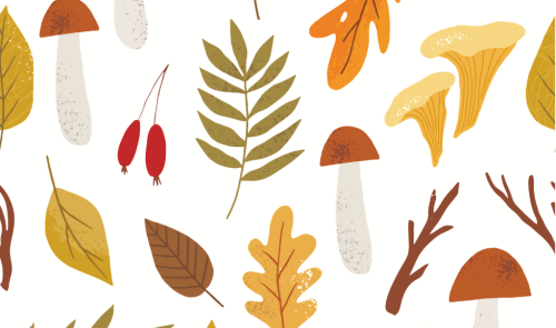 Castaween. Celebrem la castanyada!
