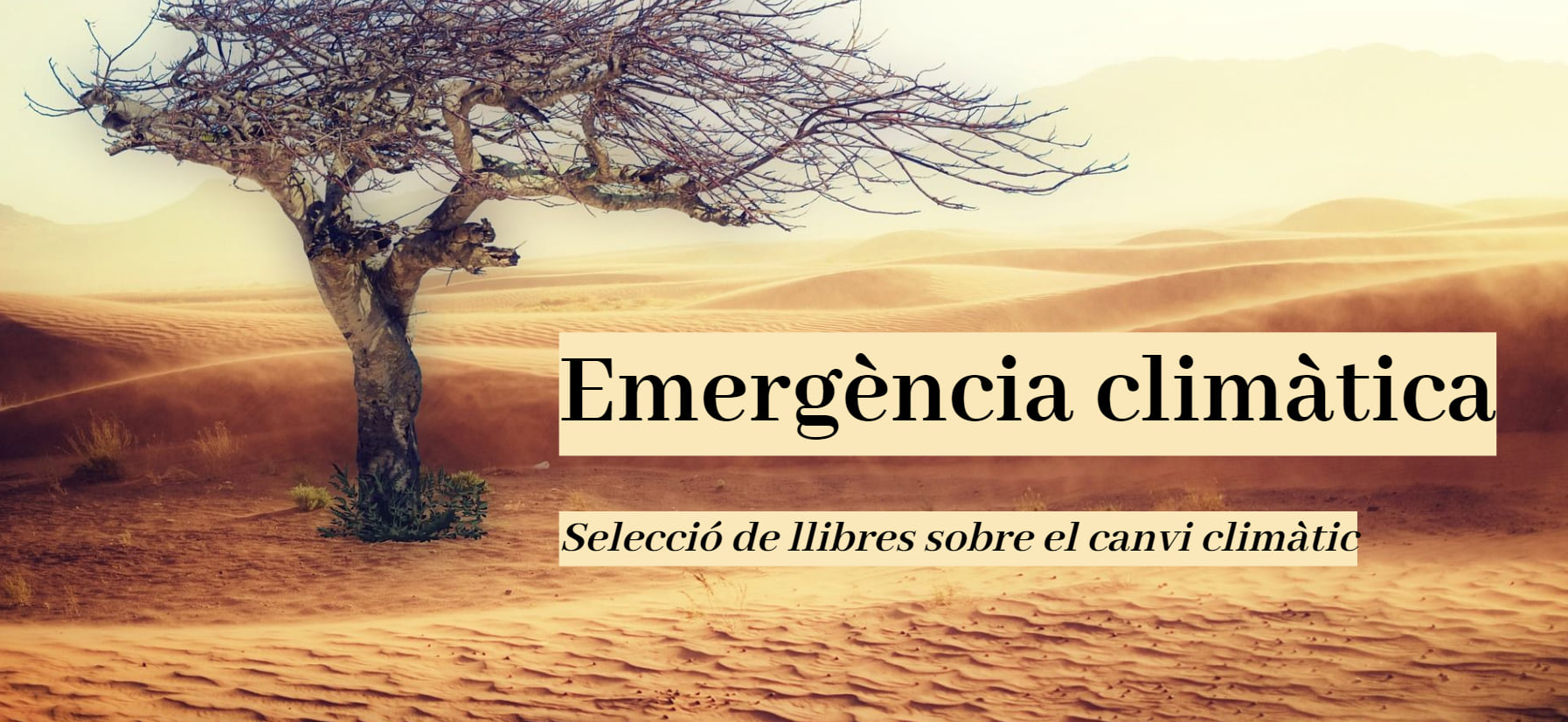 Emergència climàtica