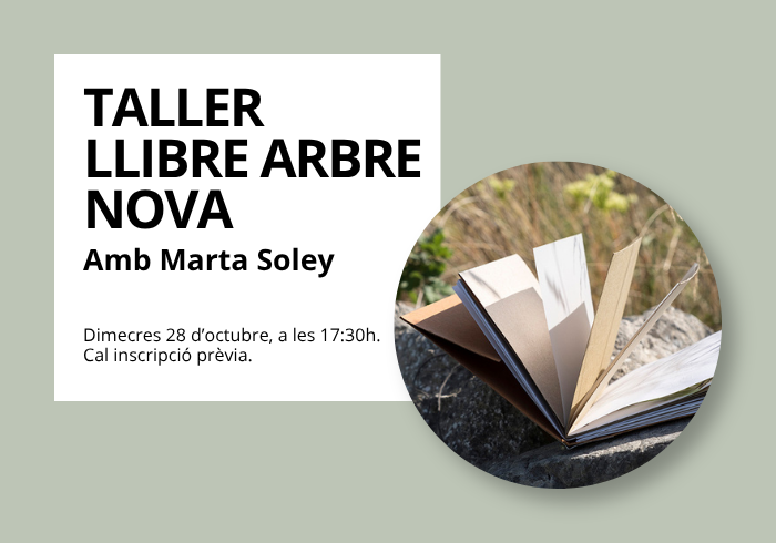Taller: Llibre Arbre Nova