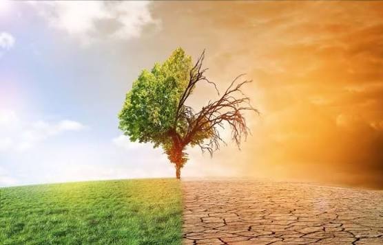 Mostra bibliogràfica sobre el Canvi Climàtic