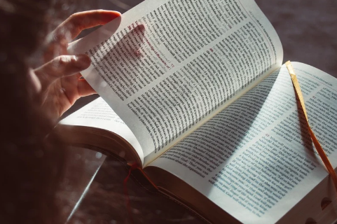 Club de lectura de Novel·la