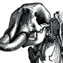 Vestigis de Polinyà