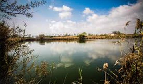 Espais Naturals del Delta del Llobregat