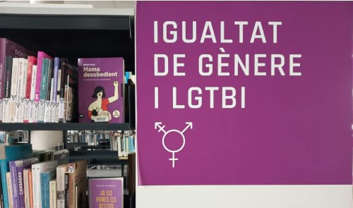 Igualtat de gènere i LGTBI