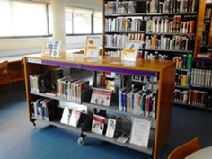 FONS ESPECIAL MÓN LABORAL