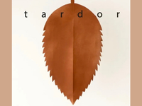 Taller de tardor. Taller familiar