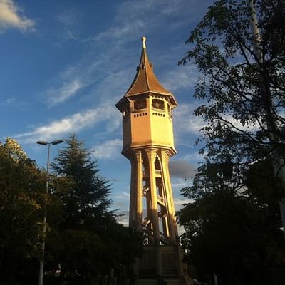 L’aparador local ‘21