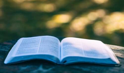 Club de lectura de novel·la