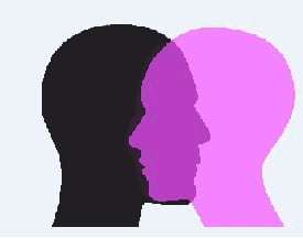 Gènere i Feminismes