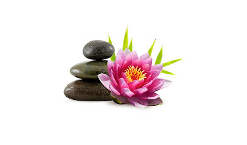 Centre d'interès en Cos i Ment