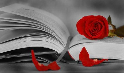 Club de lectura de Català Fàcil