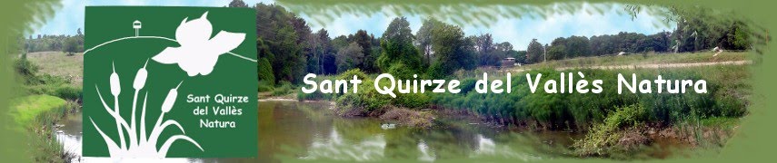 Sant Quirze Natura