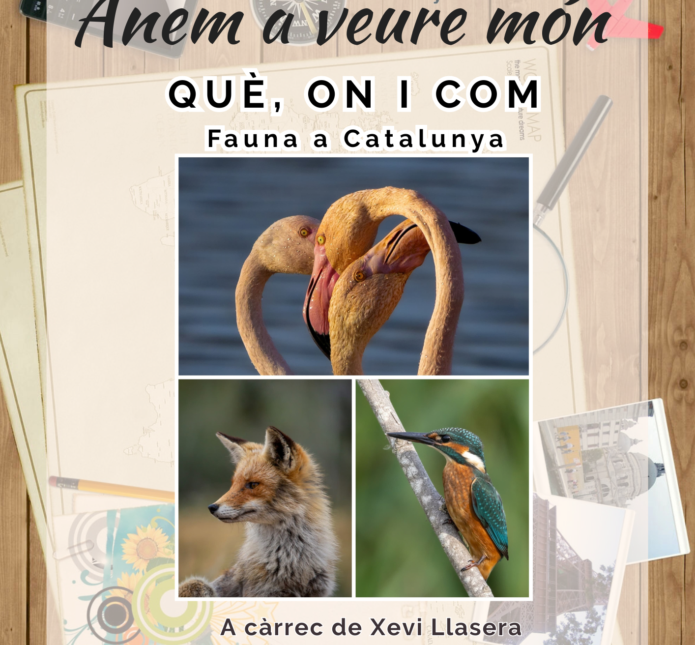 Fauna a Catalunya