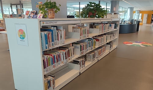 Fons especial sobre la disCAPACITAT