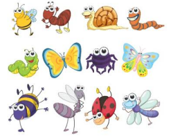 Insectes a la vista!!!