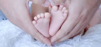 CENTRE INTERÈS. Famílies.