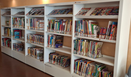 Fons especial Aprenentatge d'Idiomes