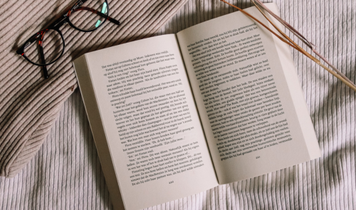 Cubelletres: club de novel·la