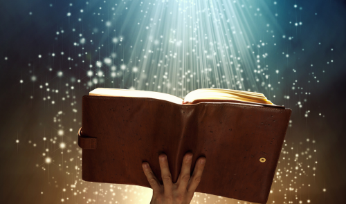 Devorallibres: club juvenil