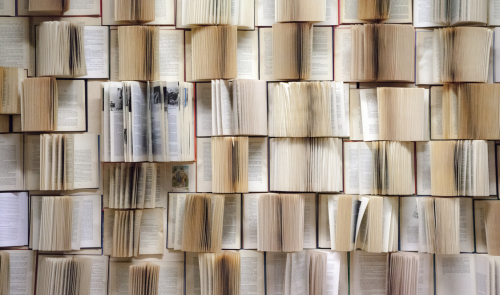 Joies amagades: club de literatura universal