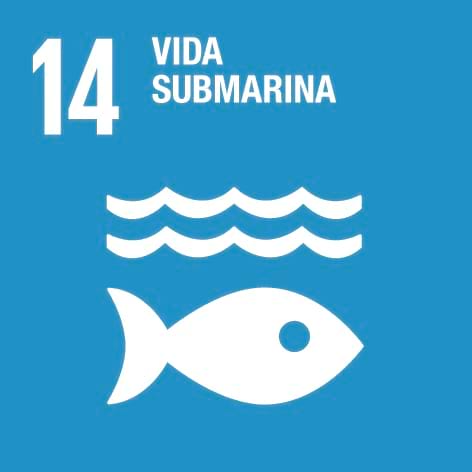 14. Vida submarina