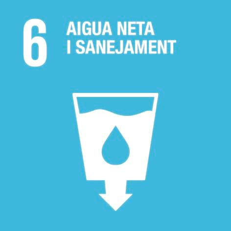 6. Aigua neta i sanejament