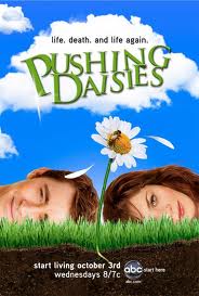  Pushing daisies (criando malvas).