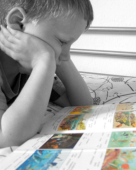 Lletra a lletra: aprenem a llegir