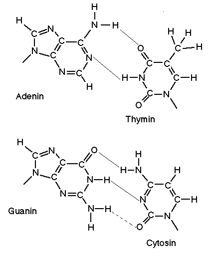 Dna-hydr