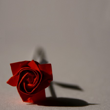 Una rosa és una rosa